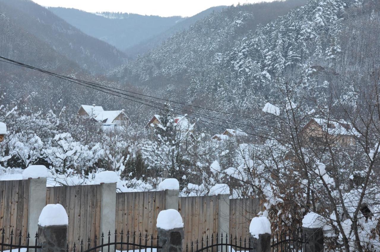 Casa De Vacanta Sadu Εξωτερικό φωτογραφία