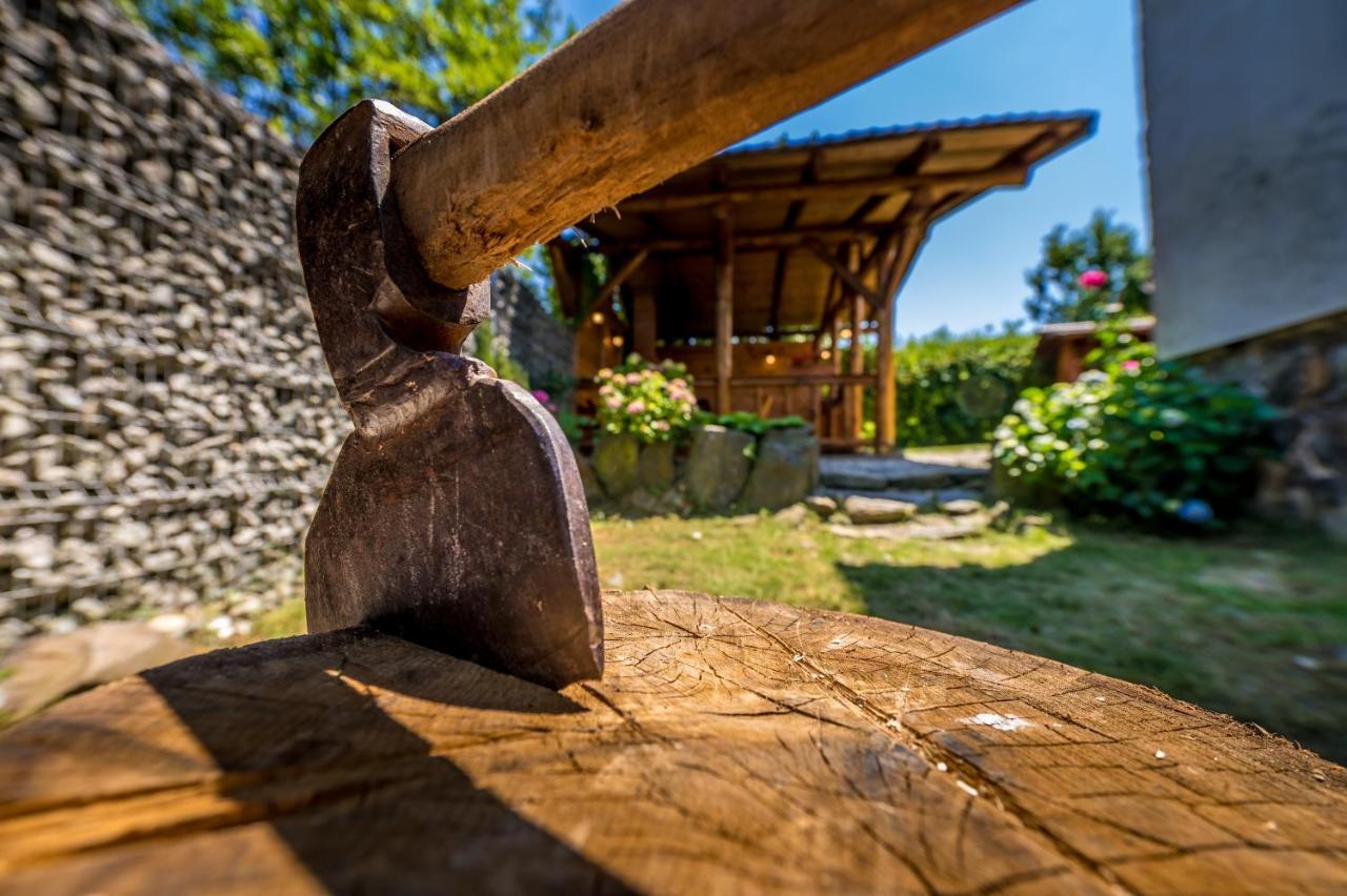 Casa De Vacanta Sadu Εξωτερικό φωτογραφία